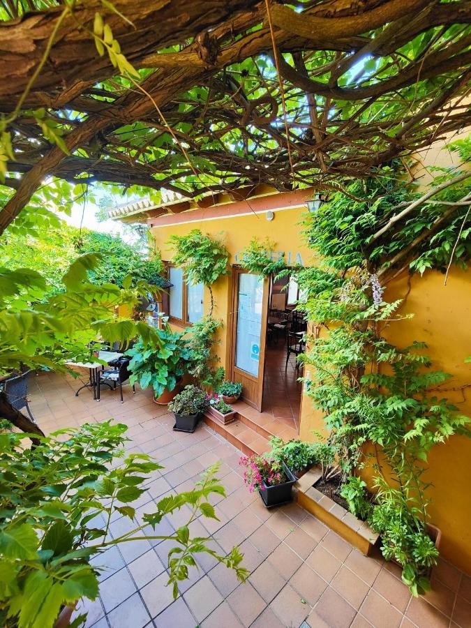 Hotel Donana Blues Matalascanas Bagian luar foto