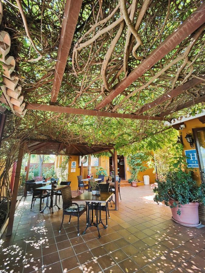 Hotel Donana Blues Matalascanas Bagian luar foto