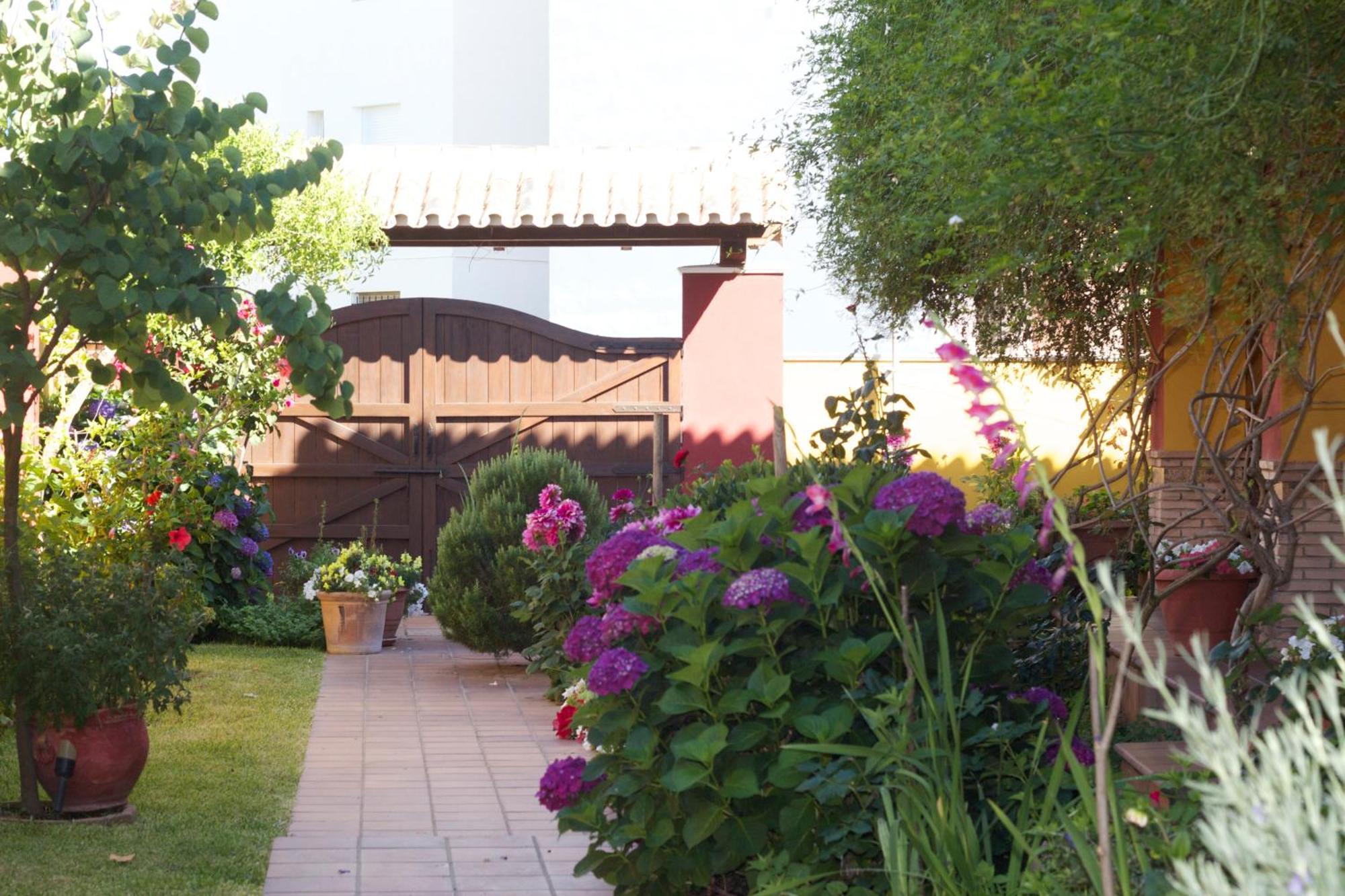 Hotel Donana Blues Matalascanas Bagian luar foto