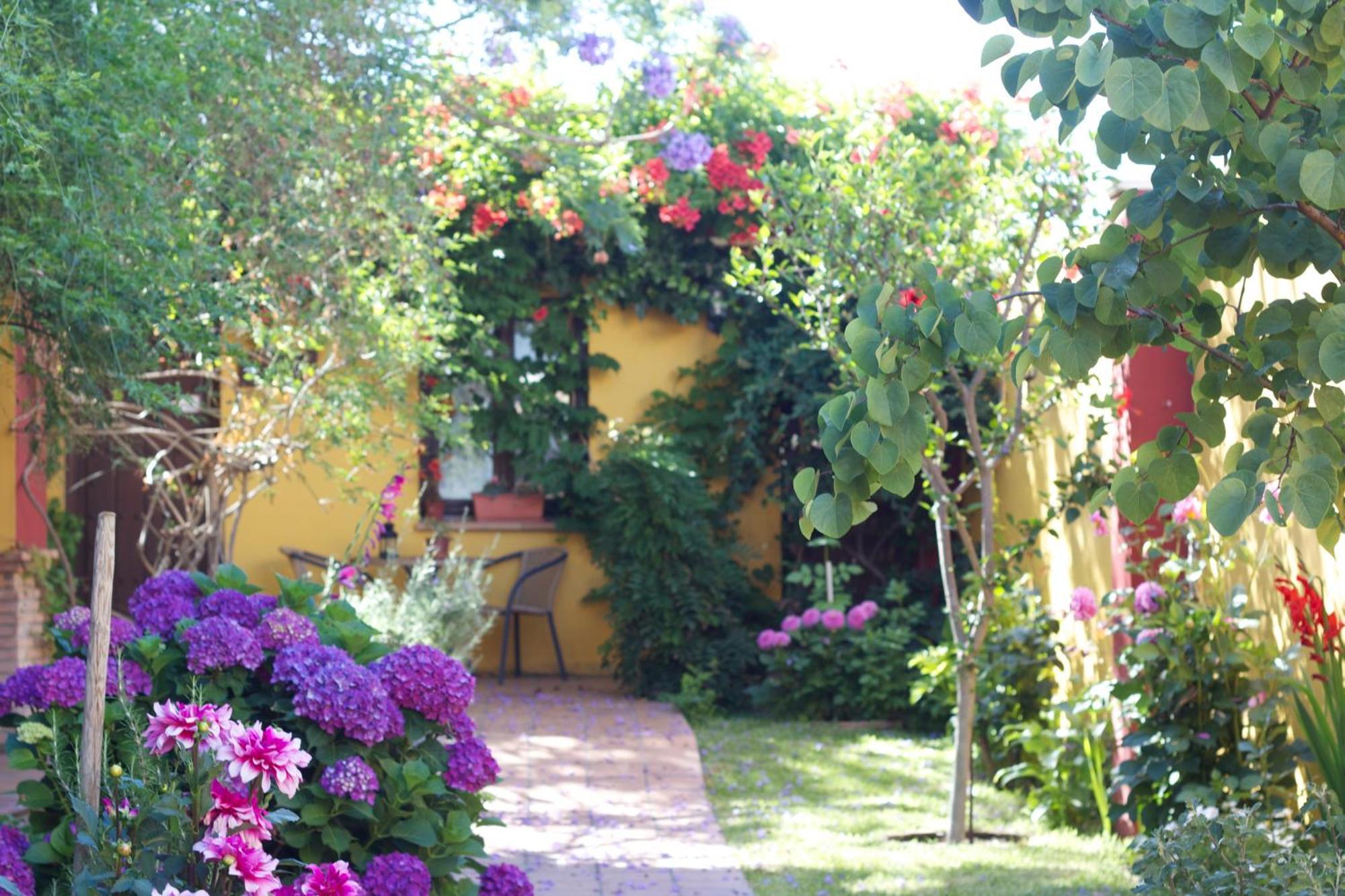 Hotel Donana Blues Matalascanas Bagian luar foto