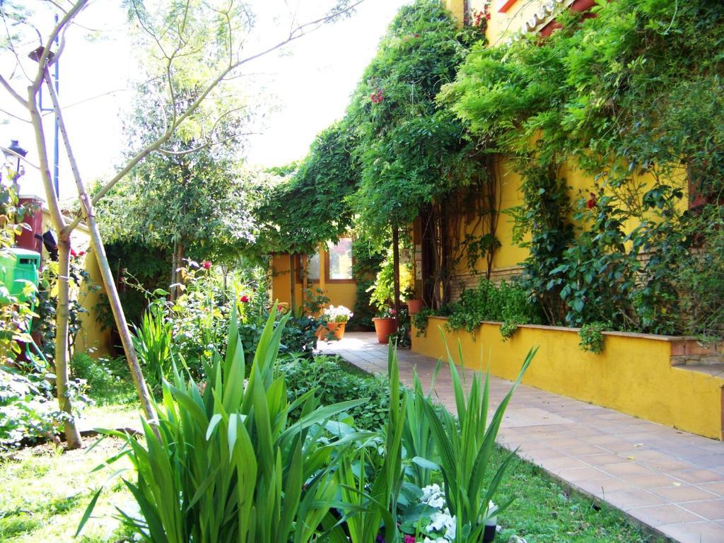 Hotel Donana Blues Matalascanas Bagian luar foto